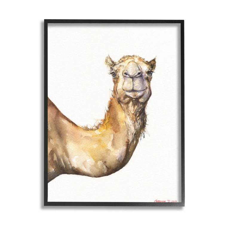 Camel Framed Art Print