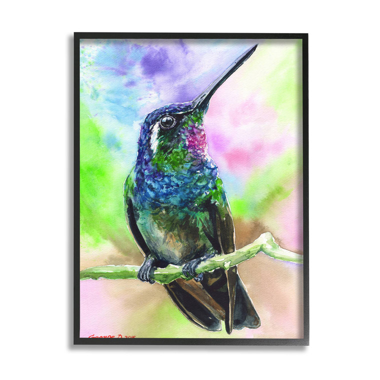 Colorful Hummingbird Framed Art Print