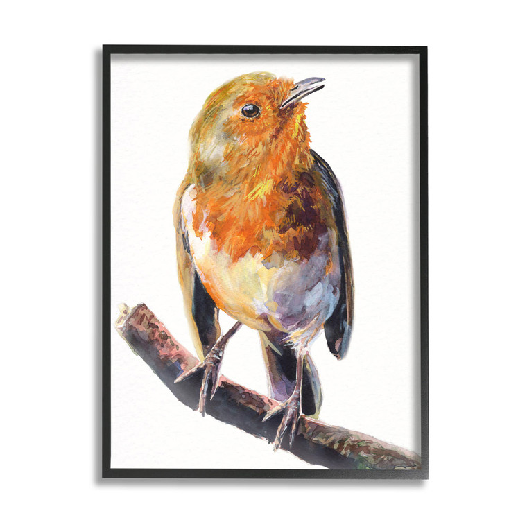Orange European Robin Framed Art Print