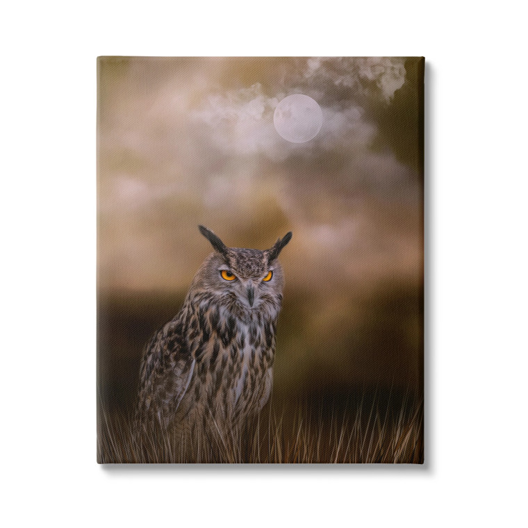 Nighttime Owl Canvas Art Print