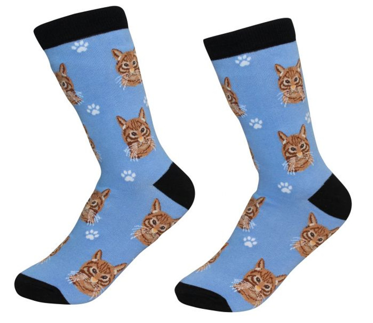 Orange Tabby Cat Socks