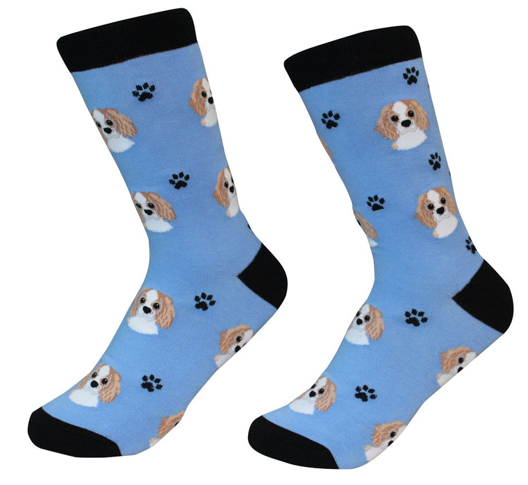 Cavalier King Charles Spaniel Socks