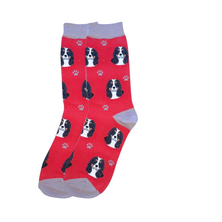 Cavalier King Charles Spaniel, Tri-Color Socks