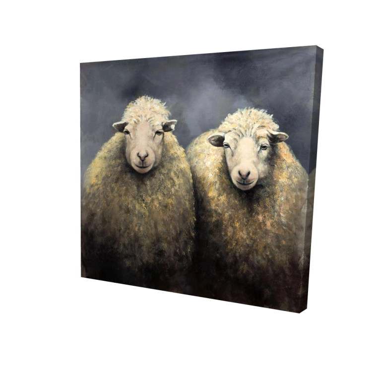 Fluffy Sheep Fine Art Print