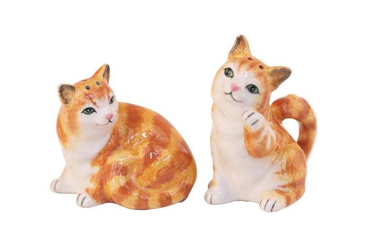 Orange Tabby Cat Salt & Pepper Shakers