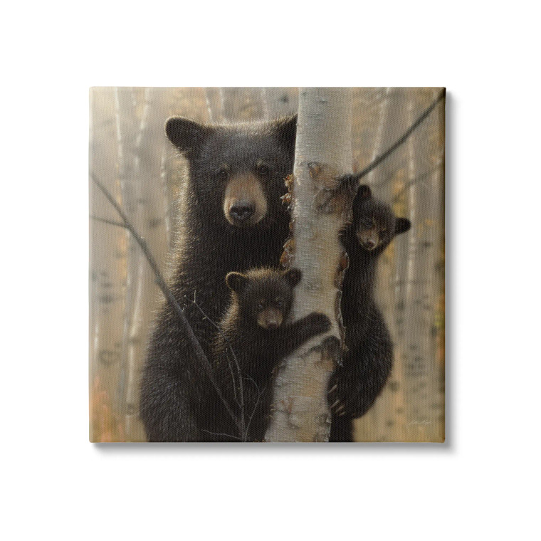 Black Bear & Cubs Canvas Art Print