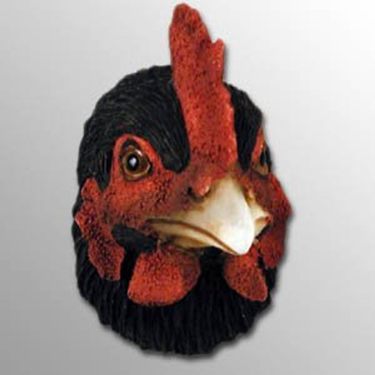 Hen, Black Magnet