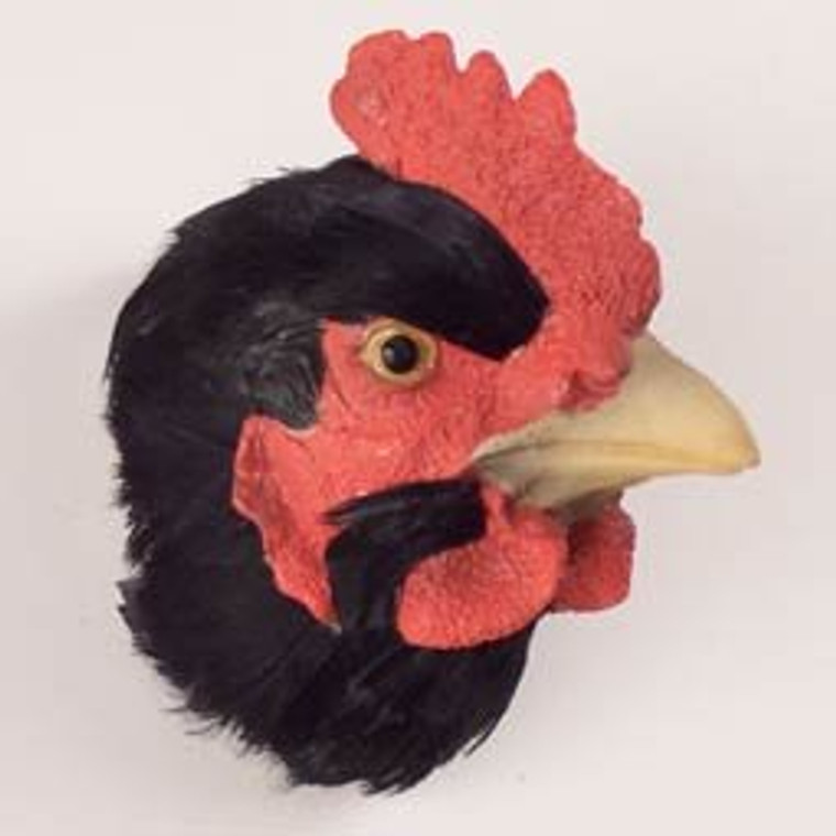 Hen, Black Feathered Magnet