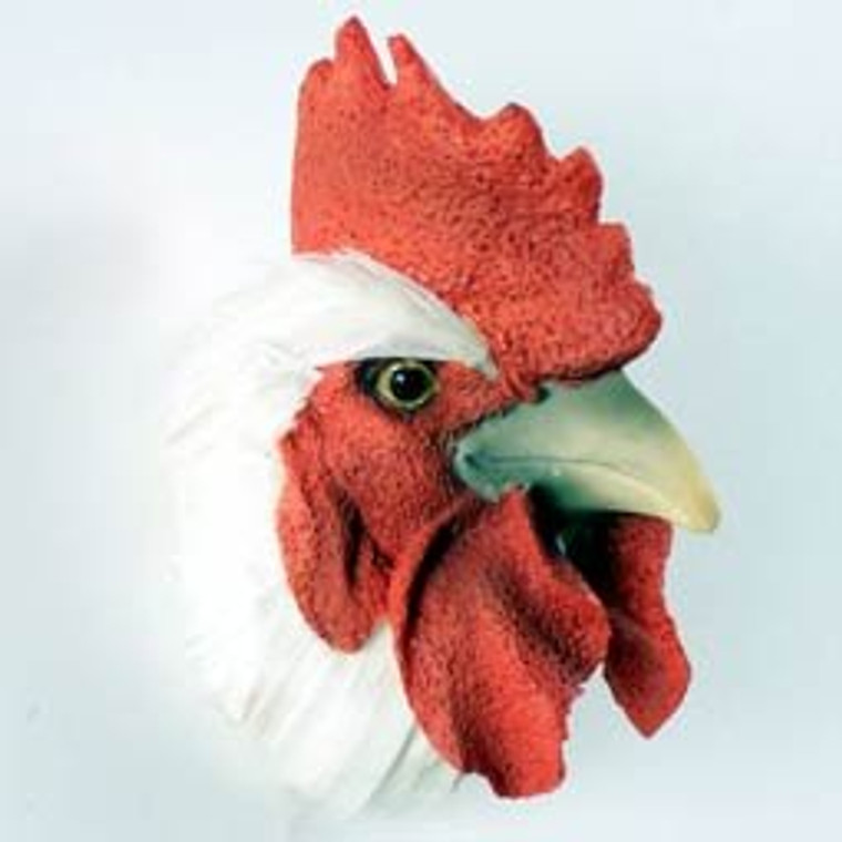 Rooster White Feathered Magnet