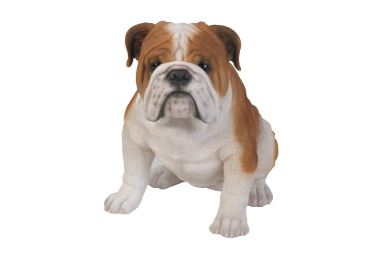 Bulldog Statue