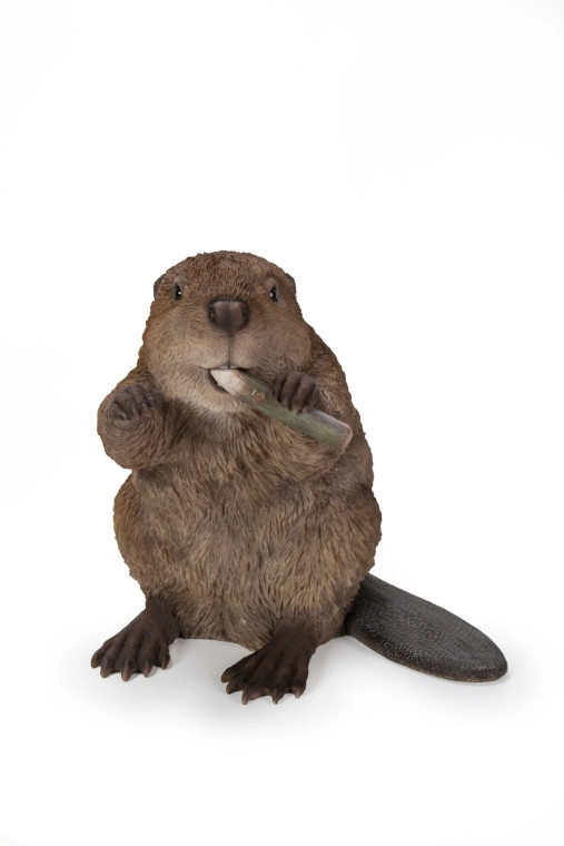 Beaver Statue