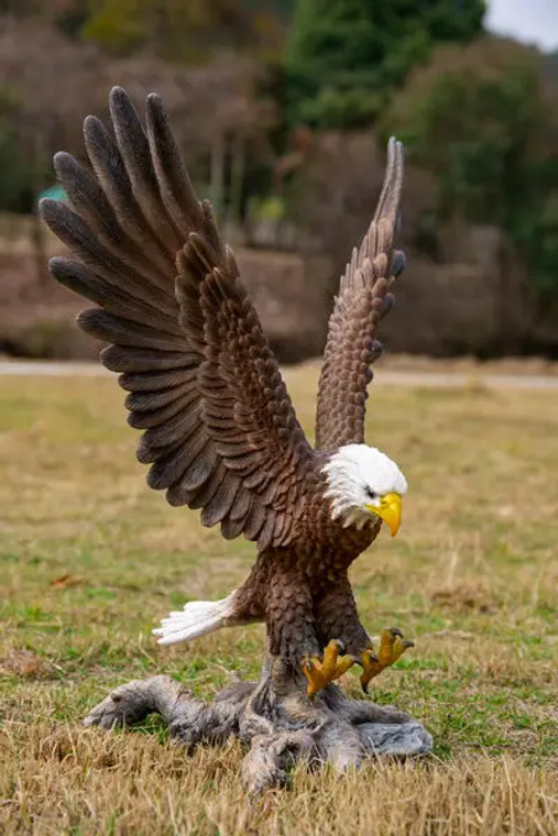 Bald Eagle Landing Statue