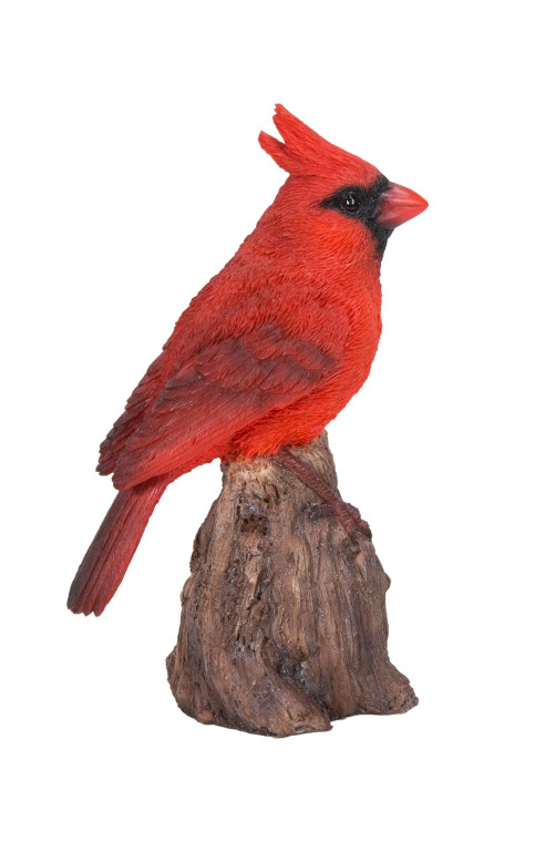Singing Cardinal Statue - Motion Activated