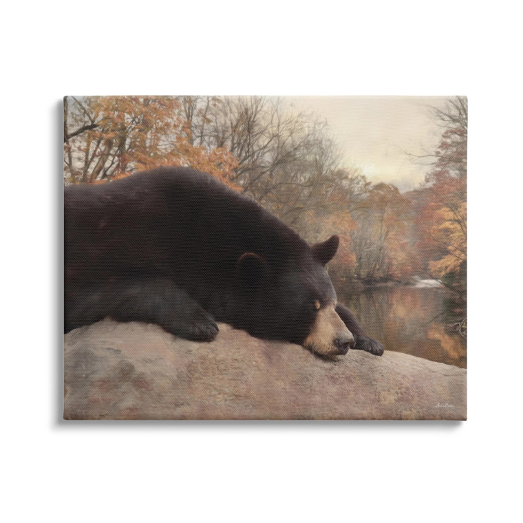 Autumn Black Bear Nap - Canvas Art Print