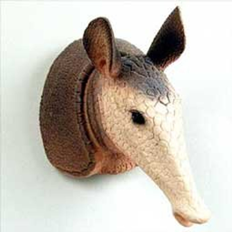 Armadillo Magnet