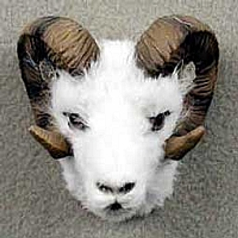 Dahl Sheep Fur Magnet