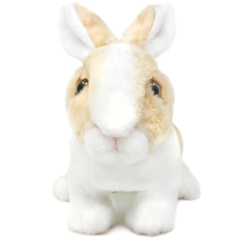 Brown & White Rabbit Plush Toy