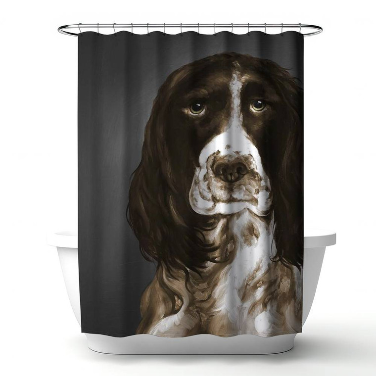 Springer Spaniel Portrait Shower Curtain