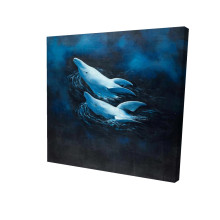 Playful Dolphins Fine Art Print