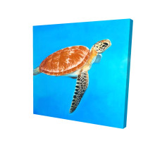 Swimming Red Sea Turtle Fine Art Print - Right