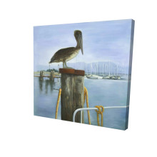 Nautical Pelican Fine Art Print