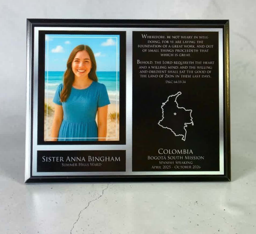 Economy Printed (e)ECONMOD_200  (No Metal Plates) Mission Plaque 8x10 (NEW!)