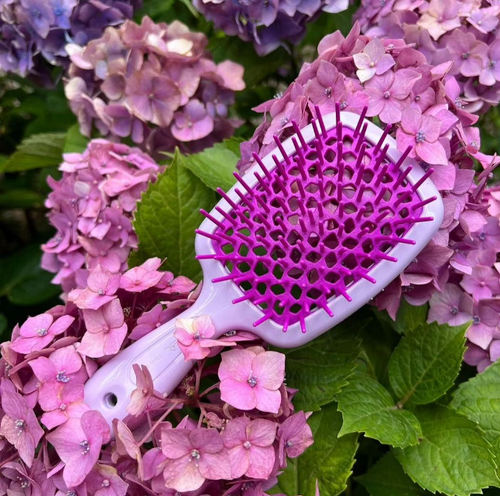 Janeke Superbrush Pre-Order MIN QTY 24