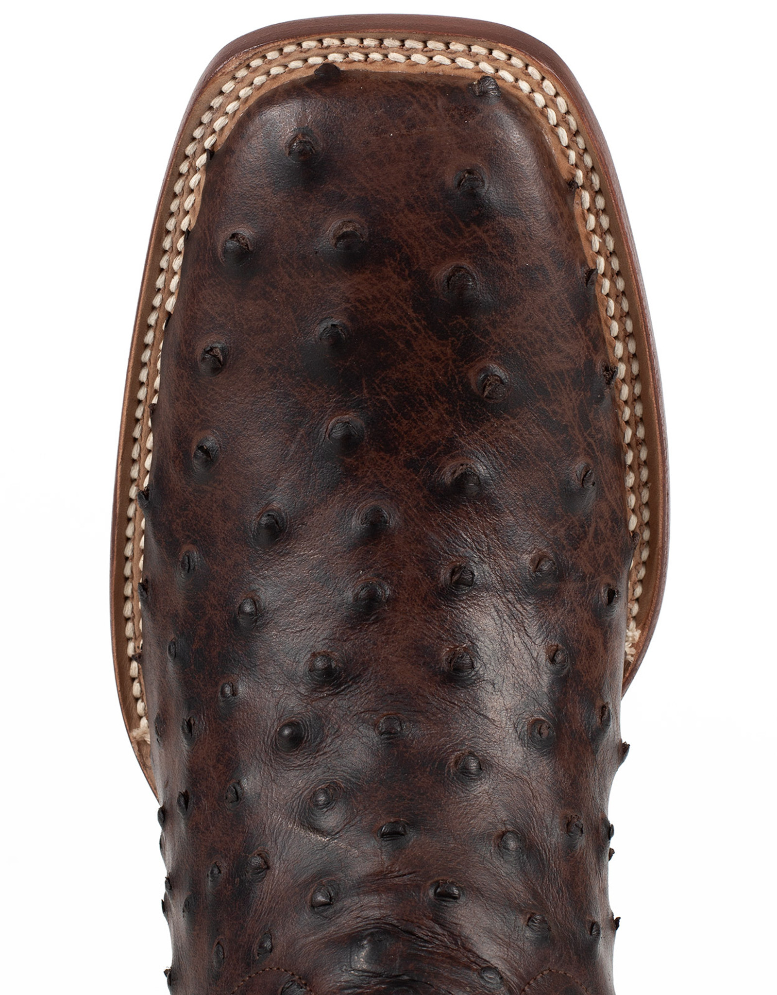 M　CORAL&TUSK institcs TMX208010 – Tanner Mark Boots