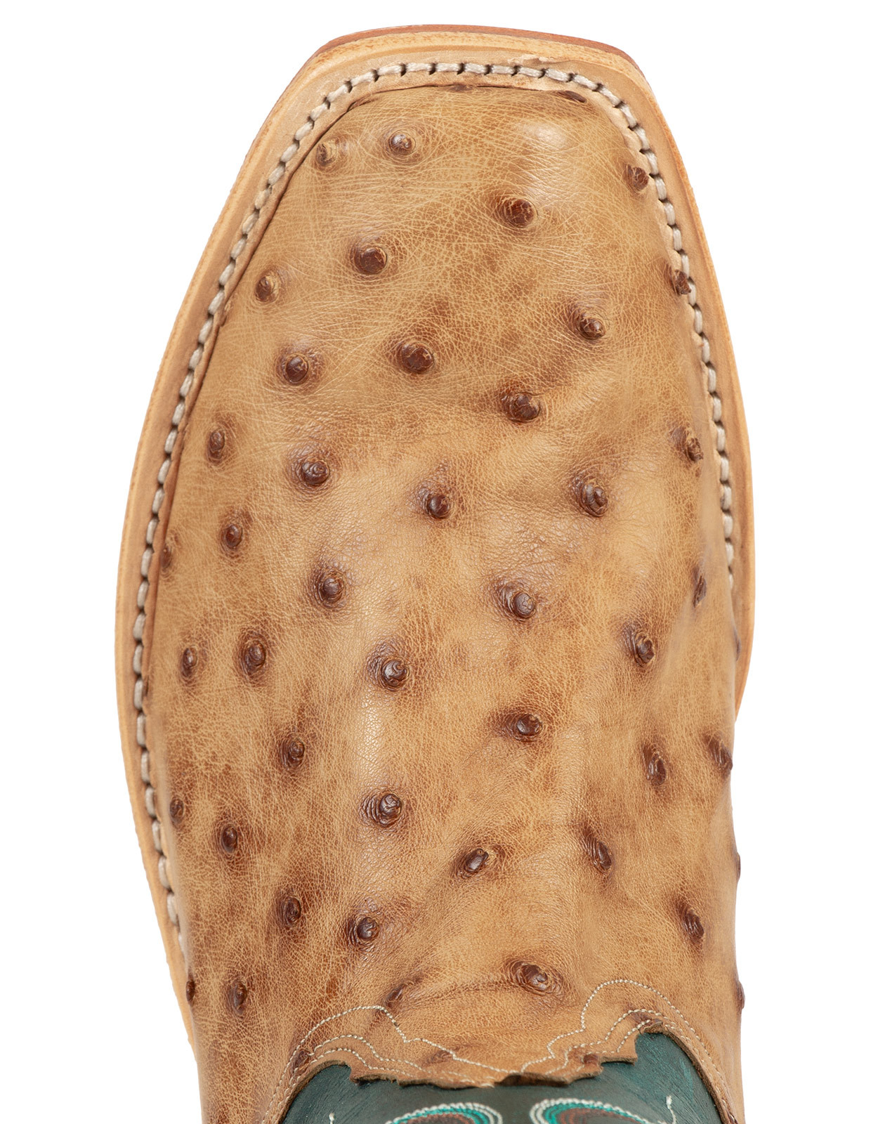 Tony Lama Women's Zaire Ostrich 13