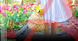 What Are Your Outdoor Plans for Spring?