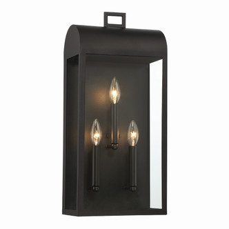 Sawyer Three Light Outdoor Wall Sconce