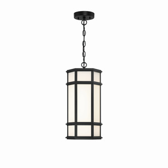 Eurofase - 42691-013 - LED Outdoor Pendant - Monte - Satin Black