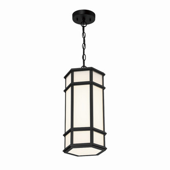 Monte LED Outdoor Pendant (42691-013)