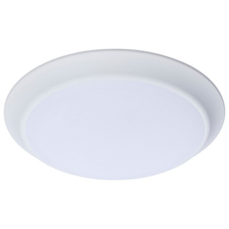 LED Disk Light (62-1811R1)