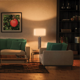 Light Bulb (S11100)