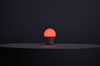 Light Bulb (S11100)