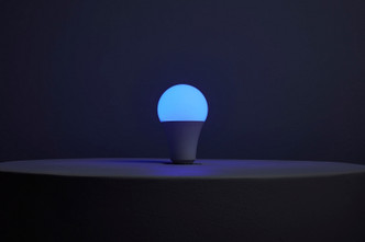 Light Bulb (S11101)