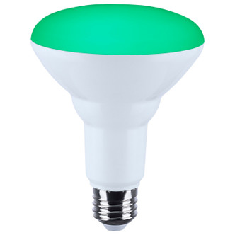 Light Bulb (S11104)