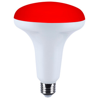 Light Bulb (S11105)