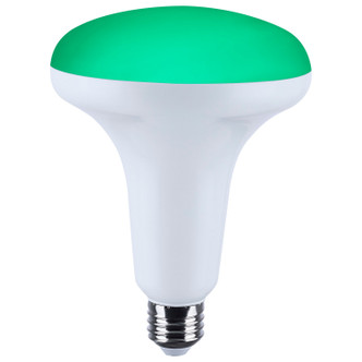 Light Bulb (S11105)