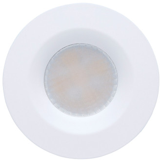 LED Remote Driver Downlight (S11670)