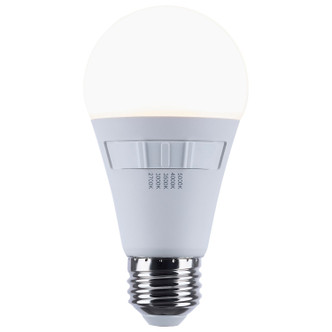 Light Bulb (S11772R1)
