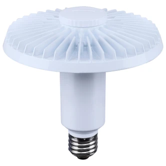 Light Bulb (S13148)
