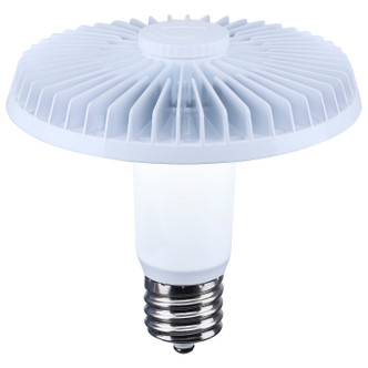 Light Bulb (S13149)
