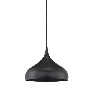 Mmin2 One Light Mini Pendant (M70075MBK)
