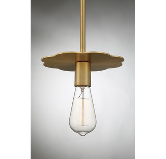 One Light Mini Pendant (M70113NB)
