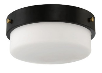 Oak Street Two Light Flushmount (X3214-FB)
