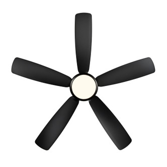 Airstra 52" Ceiling Fan (1010WLED-MBK-MBK)