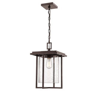 Millennium - 2625-PBZ - One Light Outdoor Hanging Lantern - Adair - Powder Coated Bronze