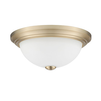 Kipson Two Light Flushmount (4903-MG)